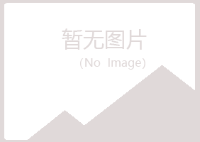 偃师紫槐化学有限公司